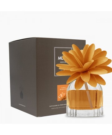 FLOWER DIFFUSER - CEDRO &...