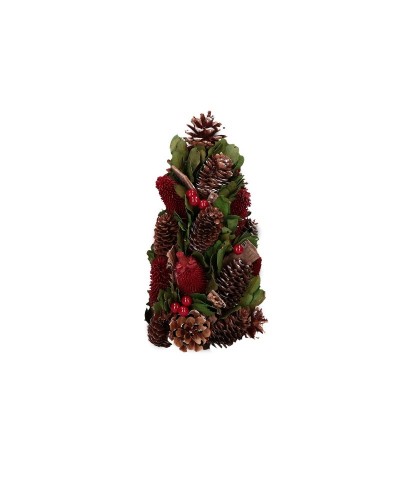 ALBERO NELBOSCO