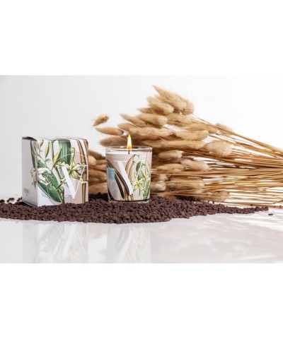 CANDELA ELEMENTI VANILLA &...