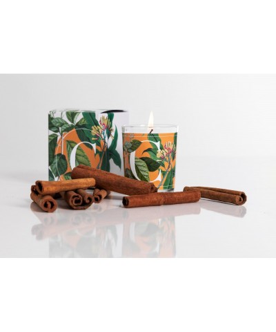 CANDELA ELEMENTI CINNAMON &...