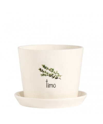 VASO TIMO CON SOTTOVASO