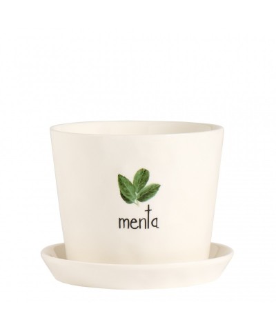VASO MENTA CON SOTTOVASO