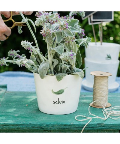 VASO SALVIA CON SOTTOVASO