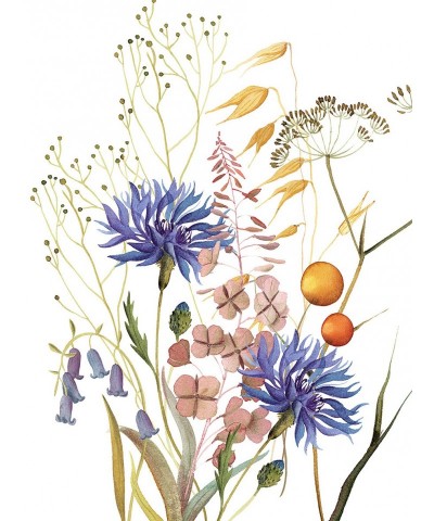 ASCIUGAPIATTI FIORDALISO