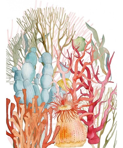 ASCIUGAPIATTI CORALS