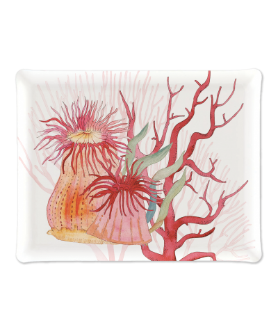 VASSOIO CORALS