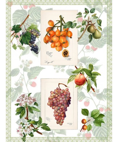 ASCIUGAPIATTI SUMMER FRUIT