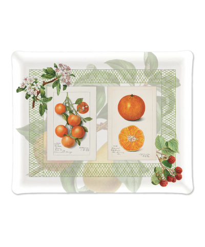 VASSOIO SUMMER FRUIT