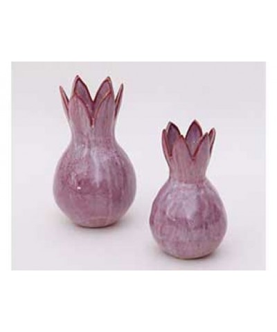 VASI CROCUS