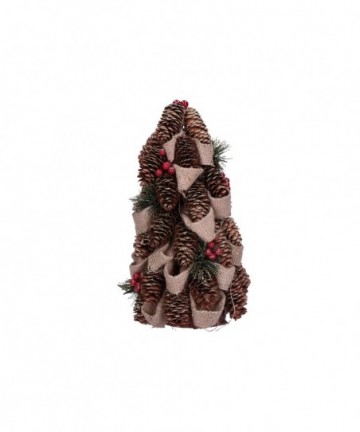 ALBERO CORCORO